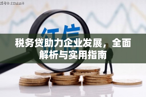 海丰税务贷助力企业发展，全面解析与实用指南