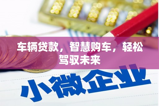 海丰车辆贷款，智慧购车，轻松驾驭未来