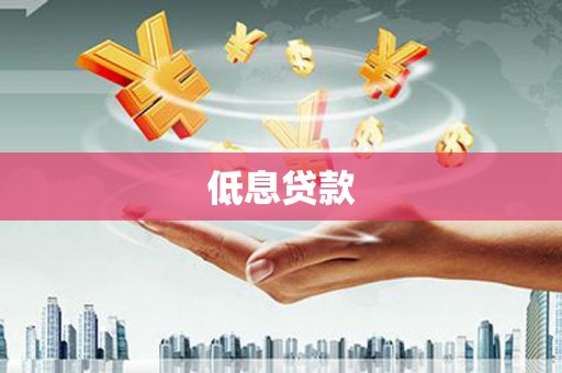海丰低息贷款