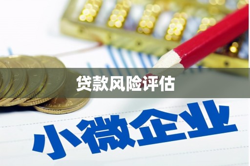 海丰贷款风险评估