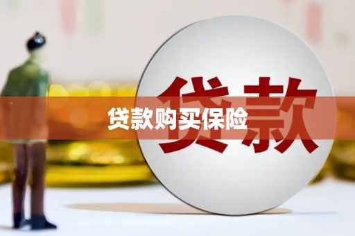 海丰贷款购买保险