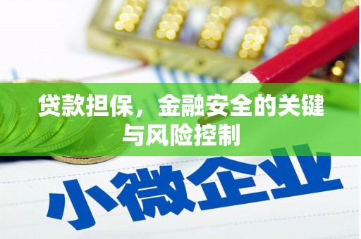 海丰贷款担保，金融安全的关键与风险控制