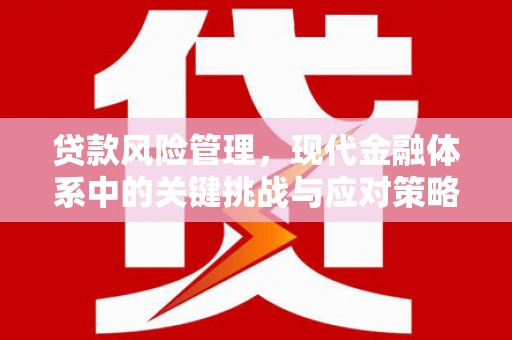 海丰贷款风险管理，现代金融体系中的关键挑战与应对策略