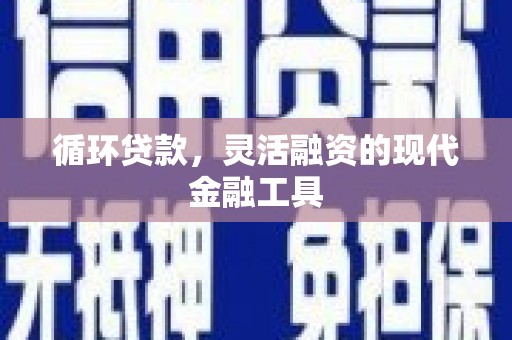 海丰循环贷款，灵活融资的现代金融工具