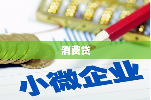 海丰消费贷