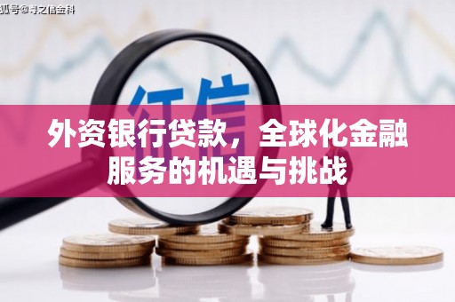 海丰外资银行贷款，全球化金融服务的机遇与挑战
