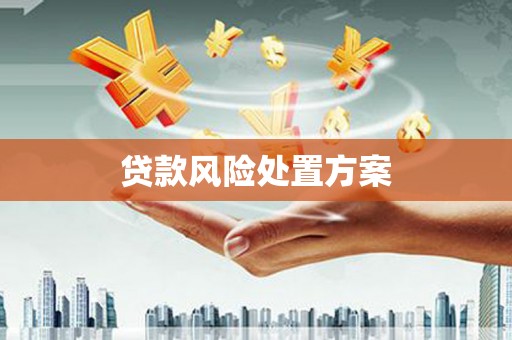 海丰贷款风险处置方案