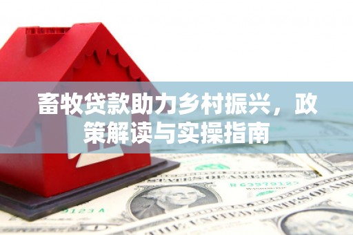 海丰畜牧贷款助力乡村振兴，政策解读与实操指南