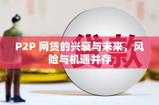 海丰P2P 网贷的兴衰与未来，风险与机遇并存