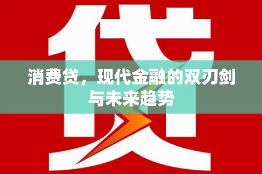 海丰消费贷，现代金融的双刃剑与未来趋势