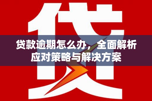 海丰贷款逾期怎么办，全面解析应对策略与解决方案
