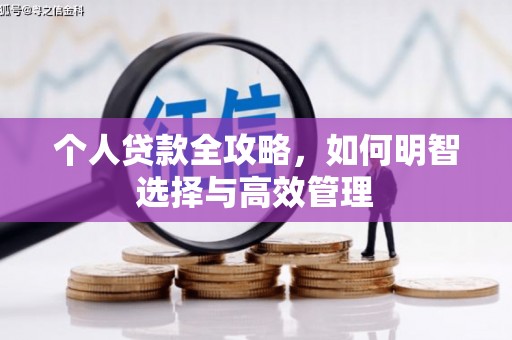 海丰个人贷款全攻略，如何明智选择与高效管理
